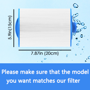 Spa Filter Replaces
