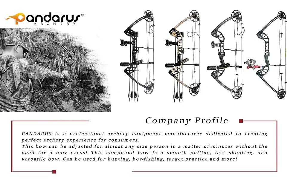 L1 compound bow 11