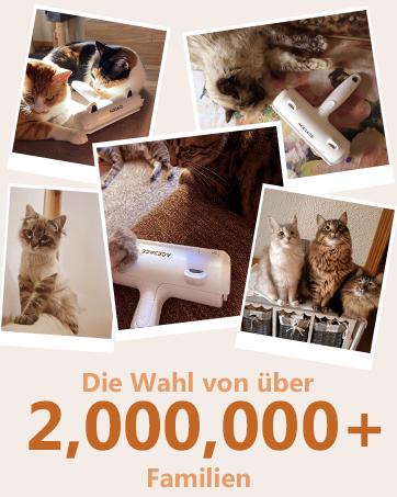 Aplus-Inhaltsbild