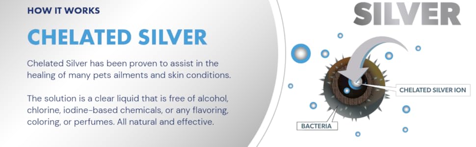 antimicrobial silver