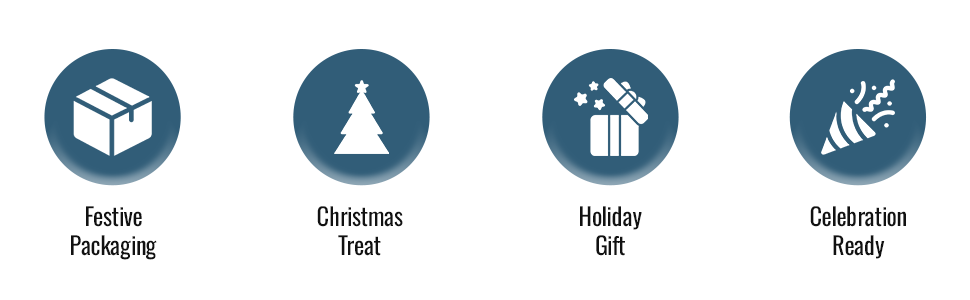 Four circular blue icons in horizontal layout representing different features: boxes/testing, Christmas tree, gift box, and landscape mode icons.