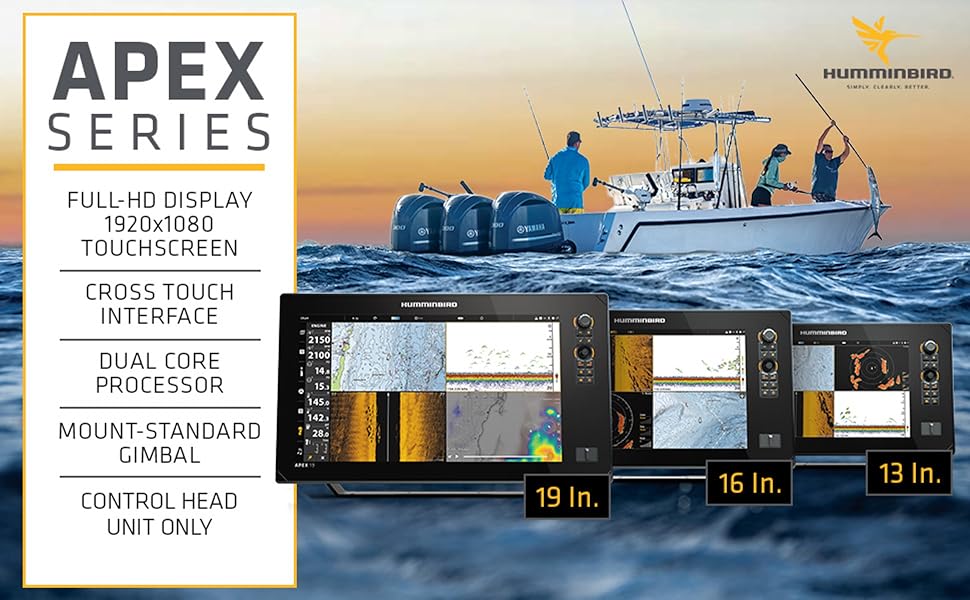 bird_fish SWAROVSKI Longnose Butterfly Fish - Around The Block