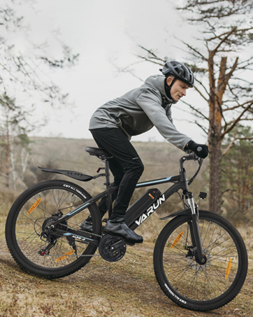 ebike