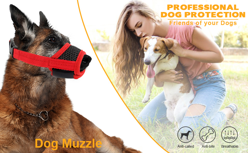 muzzle