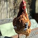 Small manufacture image 6