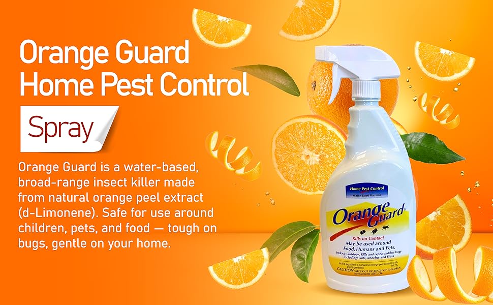 A+ Content_Orange Guard Home Pest Control-02