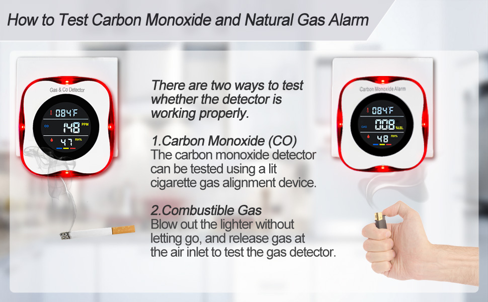 Combustible Gas and Carbon Monoxide Detector