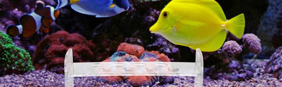 Rack against Reef Aquarium