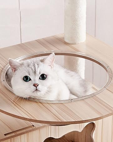 キャットタワー ネコタワー 木製 据え置き 多頭飼い 宇宙船 シニア猫 RAKU キャットタワー ネコタワー 木製 据え置き 多頭飼い 宇宙船