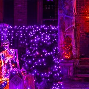 Decorate Your Holiday
