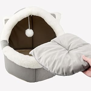 cat beds