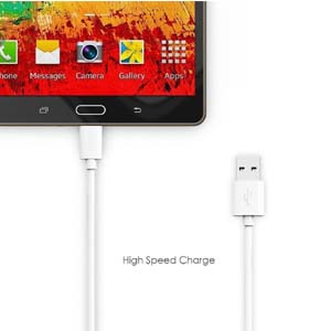 SPN-BFC FAST CHARGER