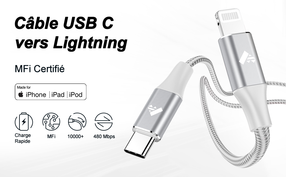 Aioneus Câble USB C vers Lightning 2M [Certifié MFi] Câble USB C iPhone
