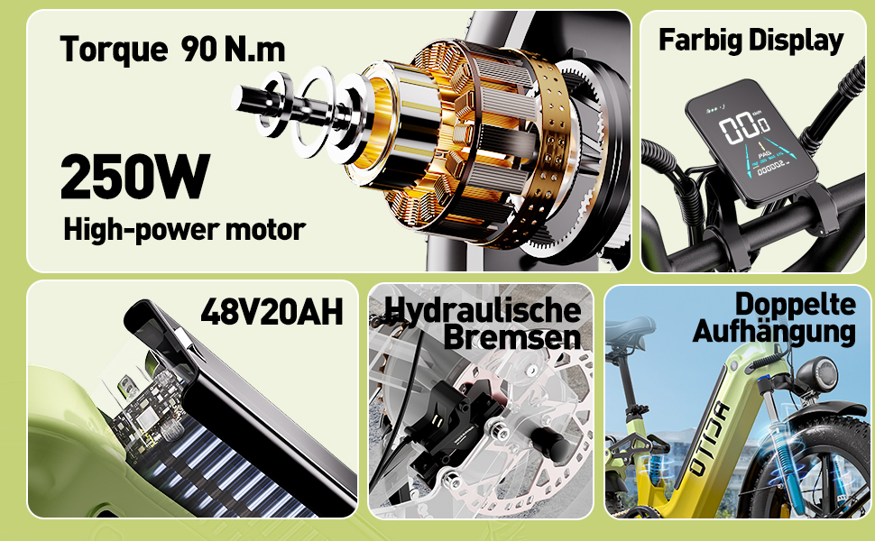 Torque 90 N.m 250WHigh-power motor 48V20AH HydraulischeBremsen Farbig Display DoppelteAufhangung