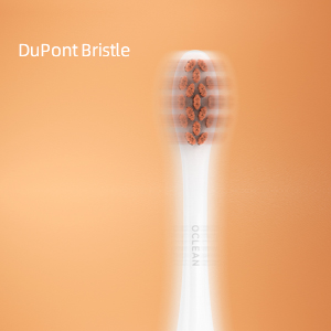 3D DuPont Bristles