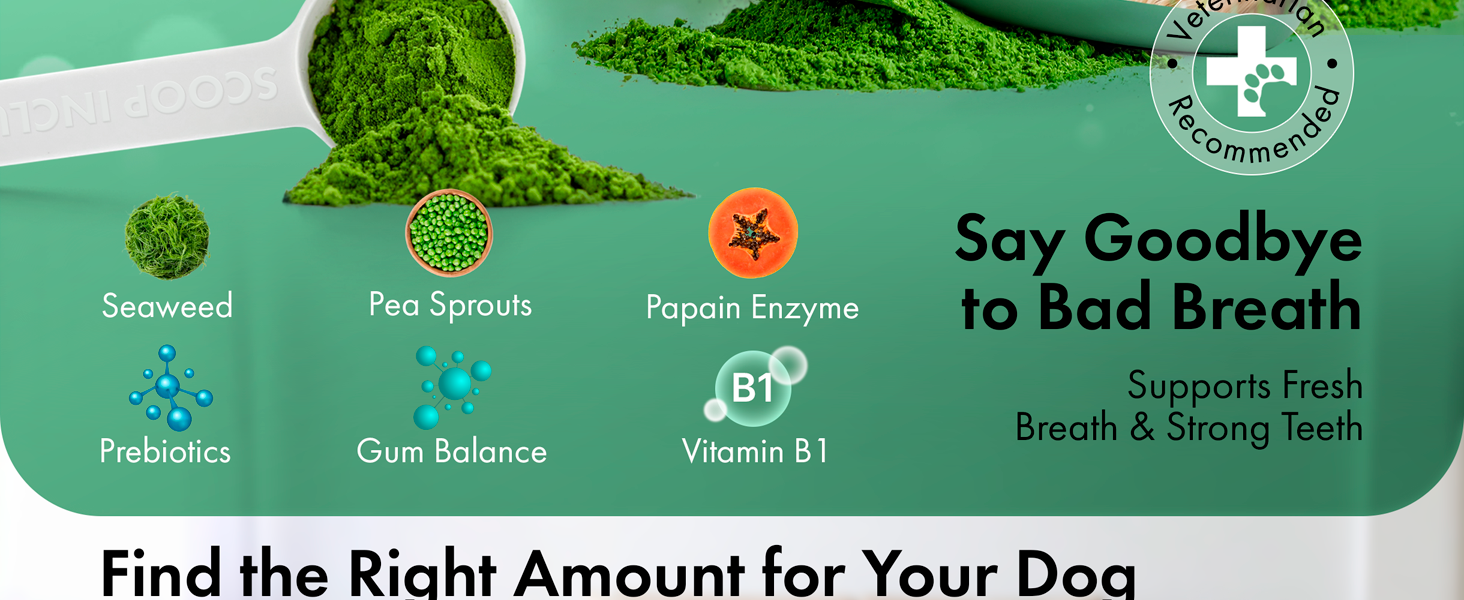 Dog Breath Freshener Dental Powder for Teeth Cleaning Plaque Off