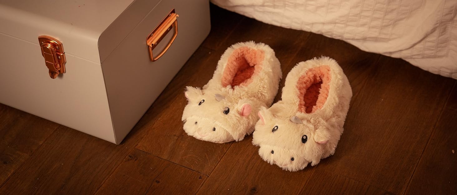 Slippers