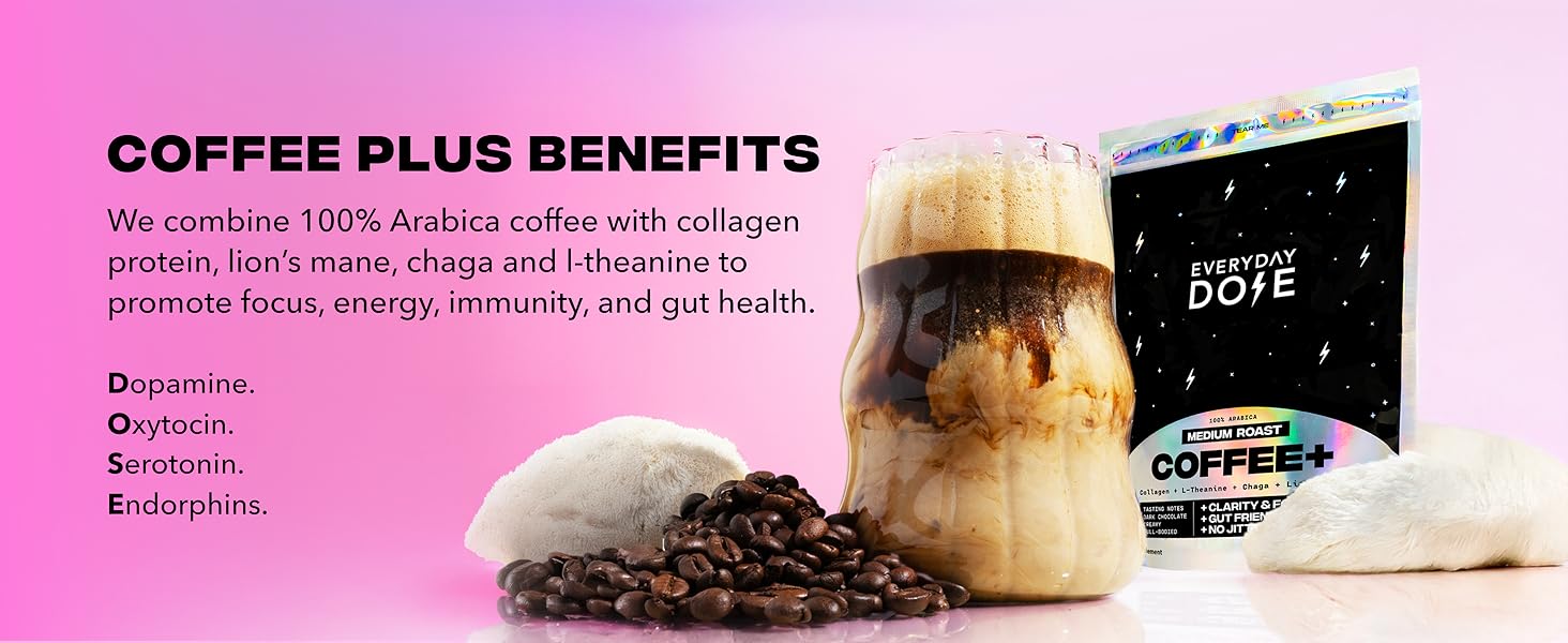 Highest Rated Mushroom Coffee Amazing Test Fruting body Lions Mane and Chaga Rise to the top 