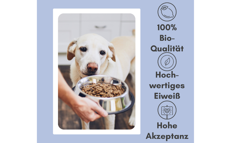 Hundefutter