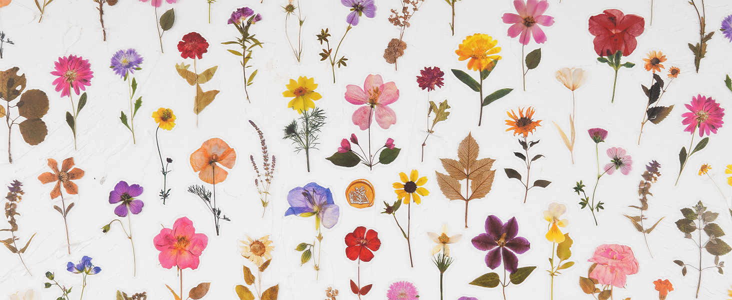 Knaid Pressed Flower Themed Stickers Set (320 Pieces) Dried