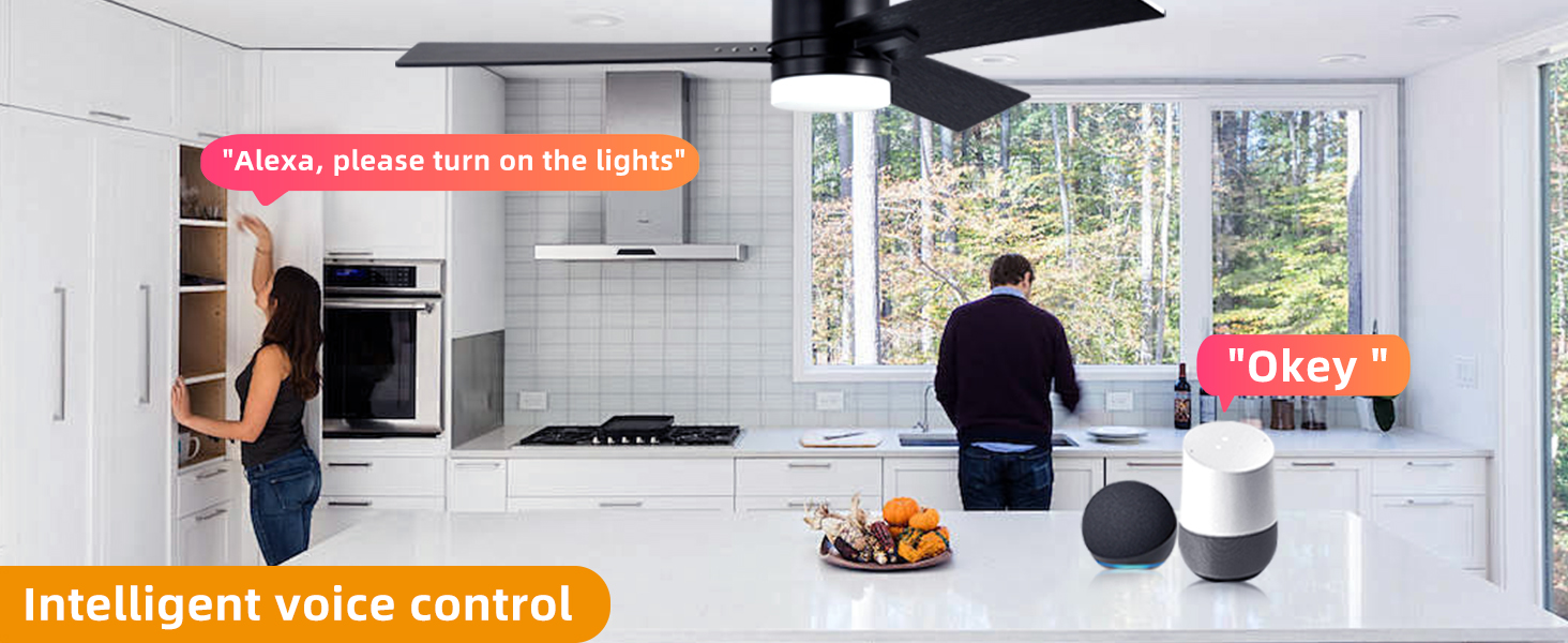 Outdoor ceiling fan for Patio Alexa