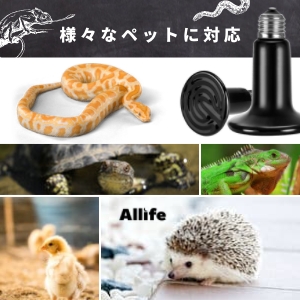 セラミックヒーター【小動物用】 Amazon | マルカン CASA ヒートセラミック 20W カバー付