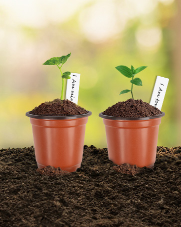 Plastic Plant Pots with  Plant Labels