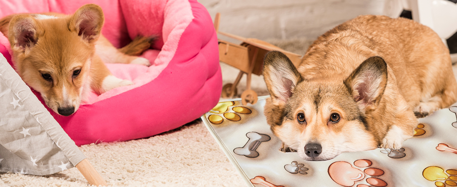 Kennel Mat