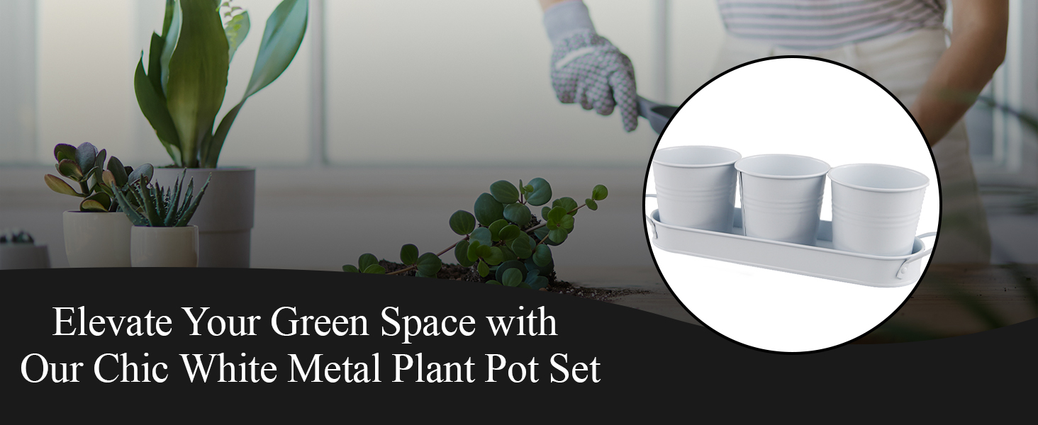 Elevate Your Green Space with Our Chic White Metal Plant Pot Set