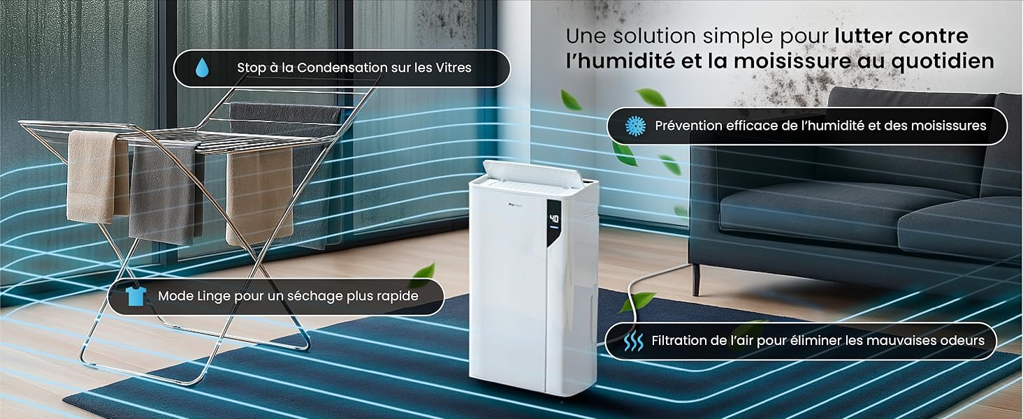 Infographie - Lutte efficace contre la moisissure