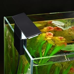 FISH TANK LED LIGHT