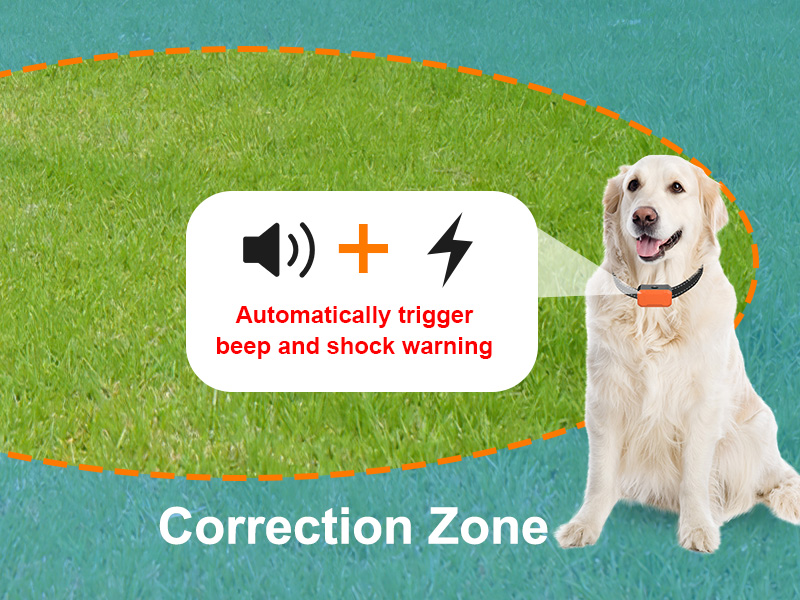 ZZWD Wireless Dog Fence System for Dog, 2 in 1 Electric