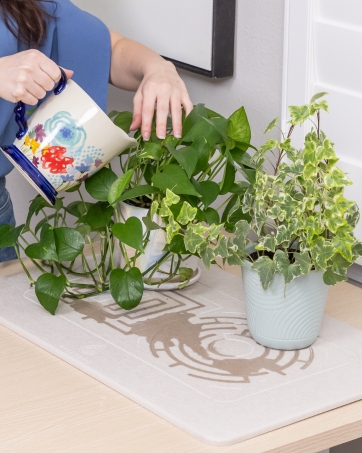 Using the absorbent stone mat as a protective, stylish tray for indoor plants.