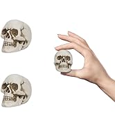 READAEER Resin Skull 2 pcs/Set, Mini Skull Model for Home Decoration, Halloween Skull Statue, Hum...
