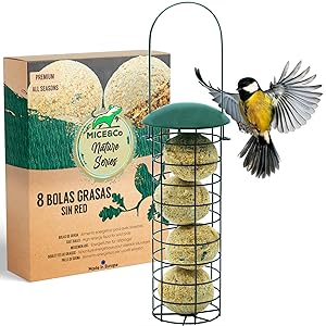 comedero pajaros