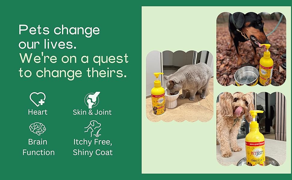 Omega 3 for dogs, omega 3 for pets, omega 3 for cats, vegan pet food, vegan omega 3 oil for cat