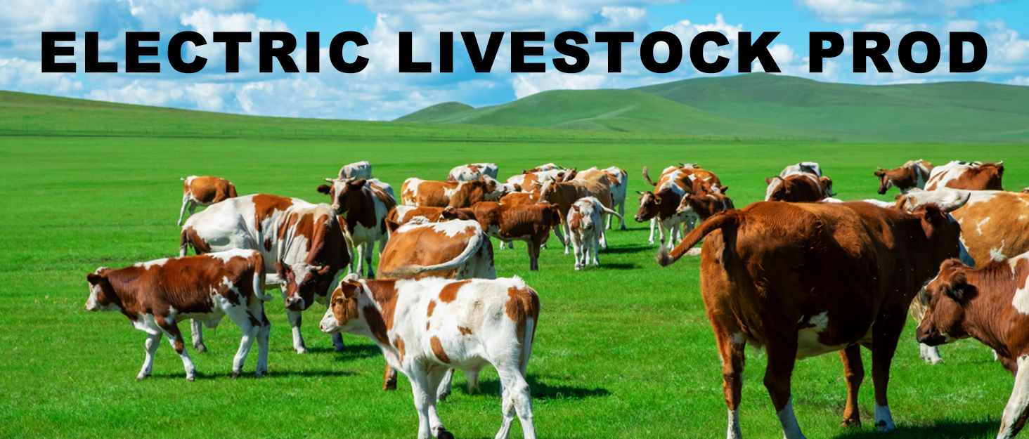 ELECTRIC LIVESTOCK PROD