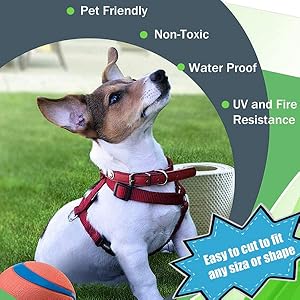Pet friendly