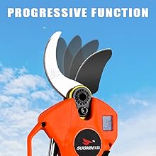 Progressive function 