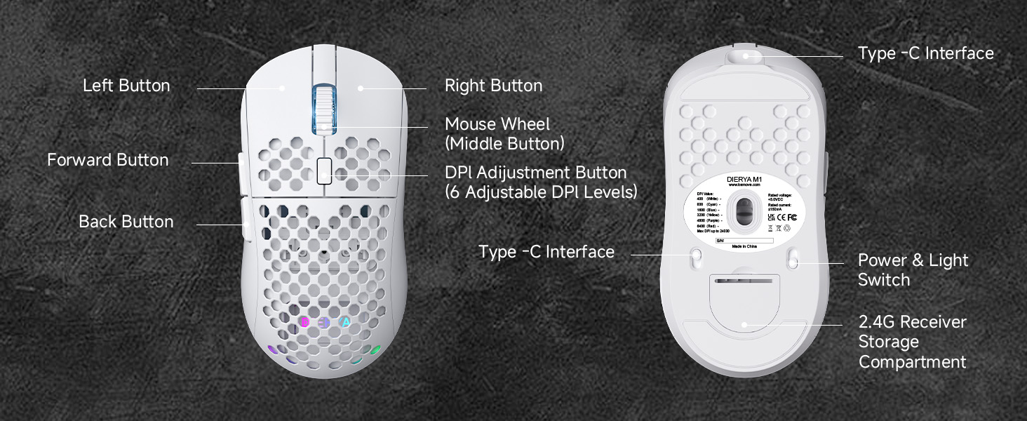 mouse