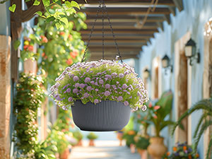 hanging pot