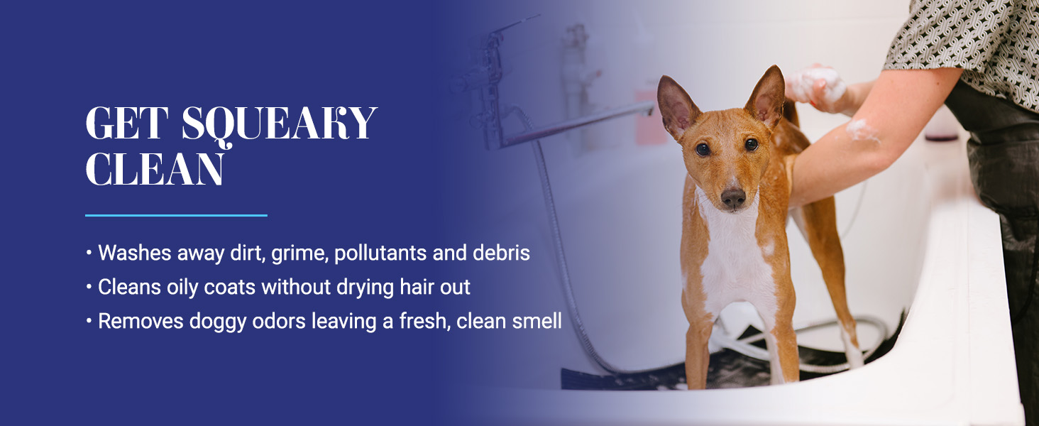 Chris Christensen Clean Start Dog Shampoo washes away dirt, grime, pollutants and debris