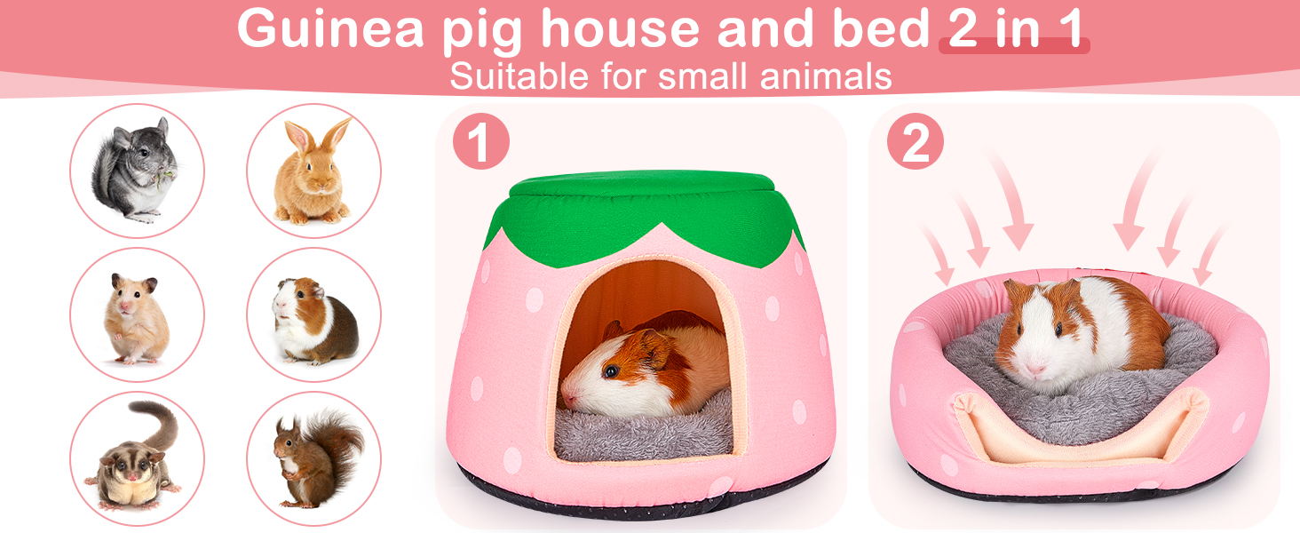 guinea pig bed