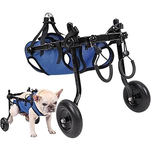 Amazon | EdisonBrain 犬の歩行器 犬用車椅子 ペット 散歩