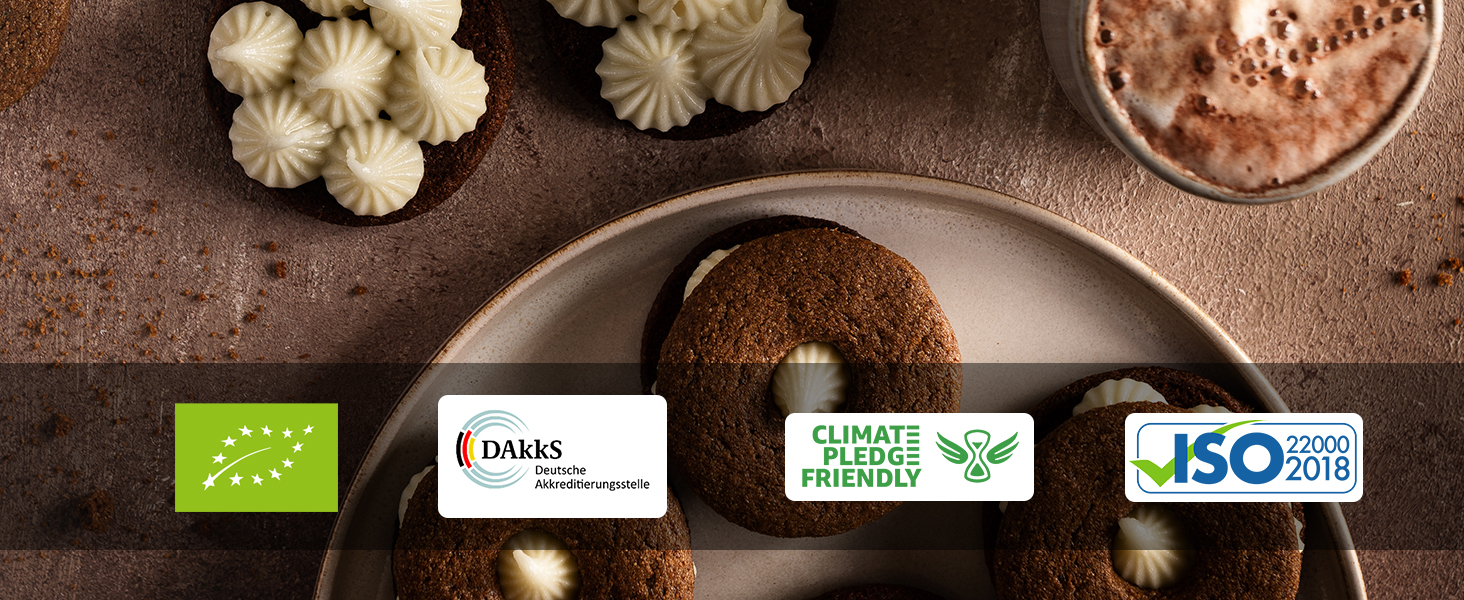 biscotto vacanza Natale dolce vegano vegetariano ragazzo miele pinna confetteria cucina decorazione