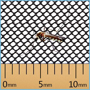 Small manufacture image 5