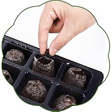 seed  starter tray
