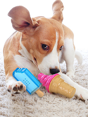 freezable pet teething toys