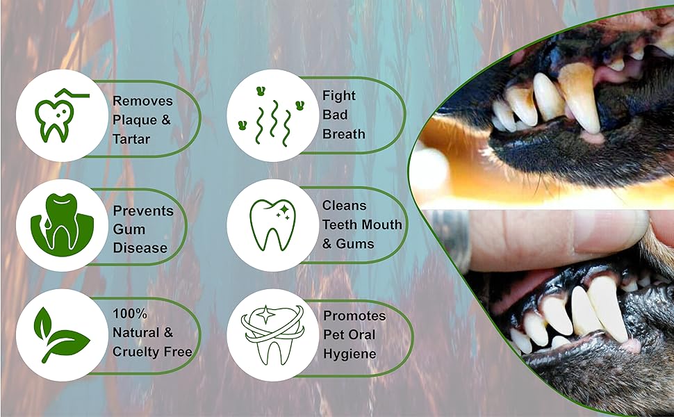 PLAQUE OUT 200G Resealable Pouch Tartar Plaque Off Remover, 100% Natural & Organic - Bad Breath Teeth Gum Care for Dogs, Cats 17 4