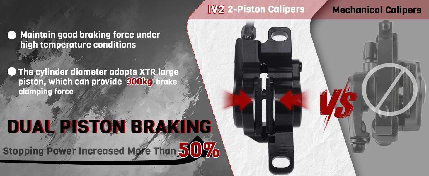 dual piston brake